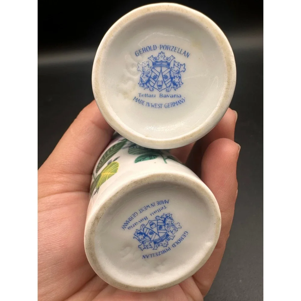 Gerold Porzellan Tettau Bavaria Salt Pepper Shakers West Germany Floral Ceramic